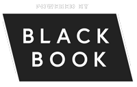 Black Book logo - provider of automotive vehicle pricing and analytical services.