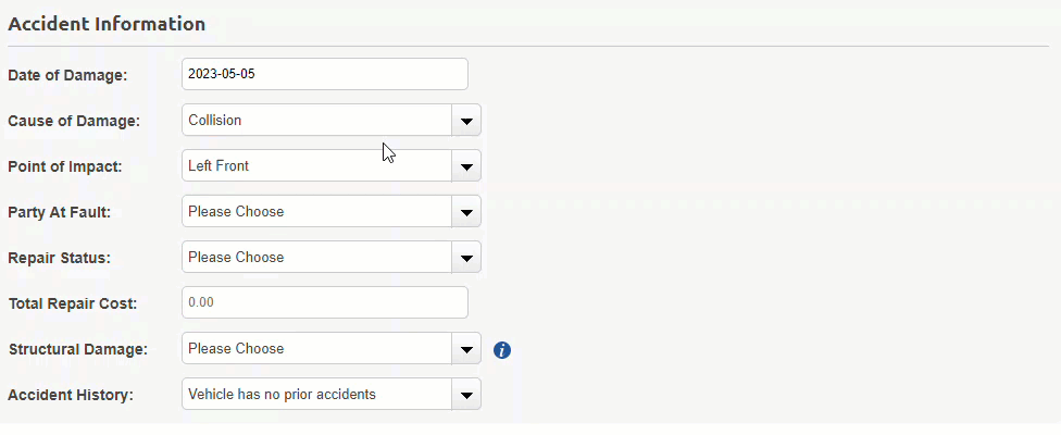 Computer screen displaying the accident information section on DVASSESS website.